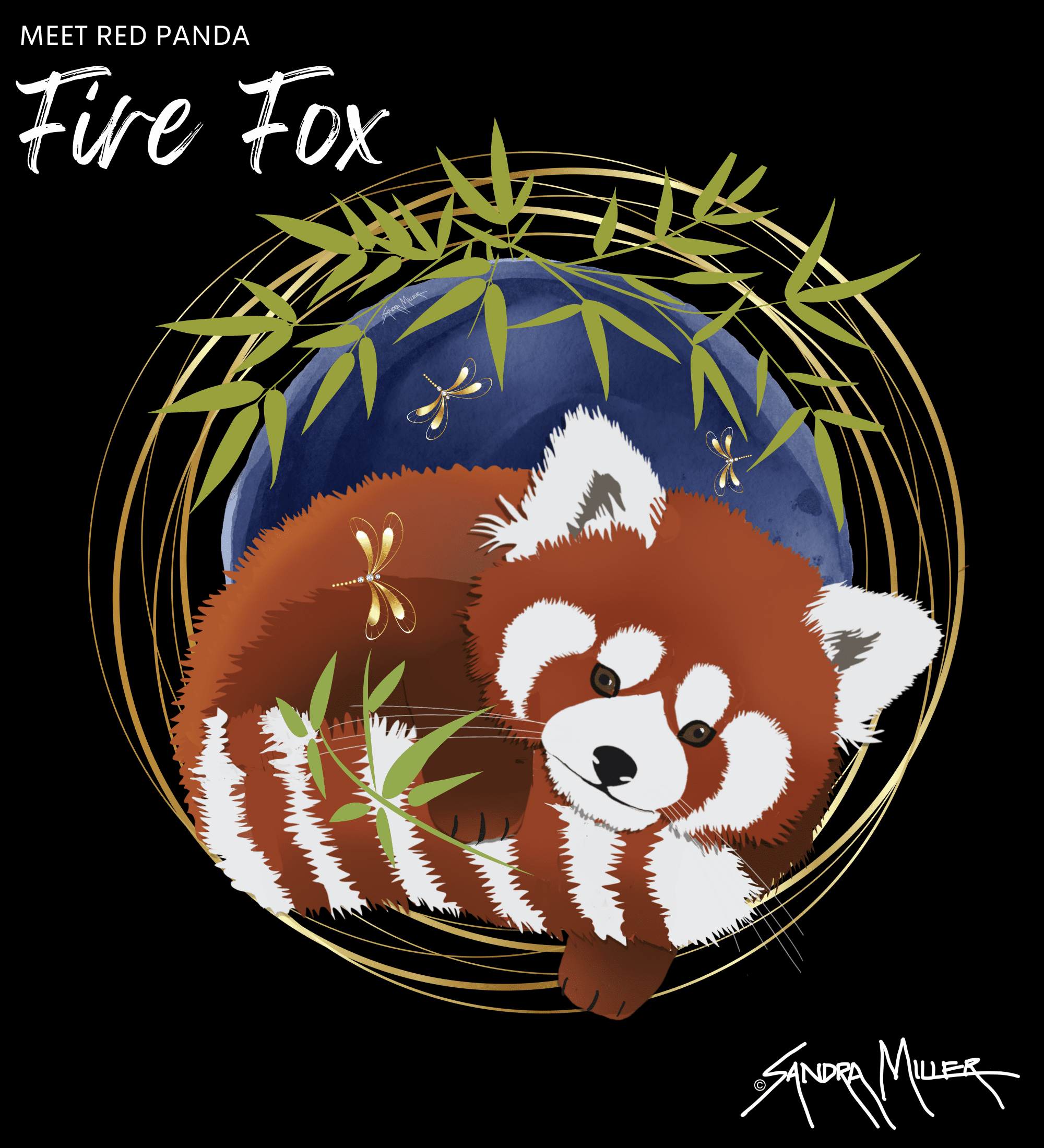 FIRE FOX – new illustration and red panda adventures